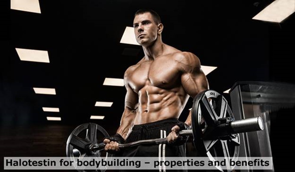 Halotestin for bodybuilding – properties and benefits