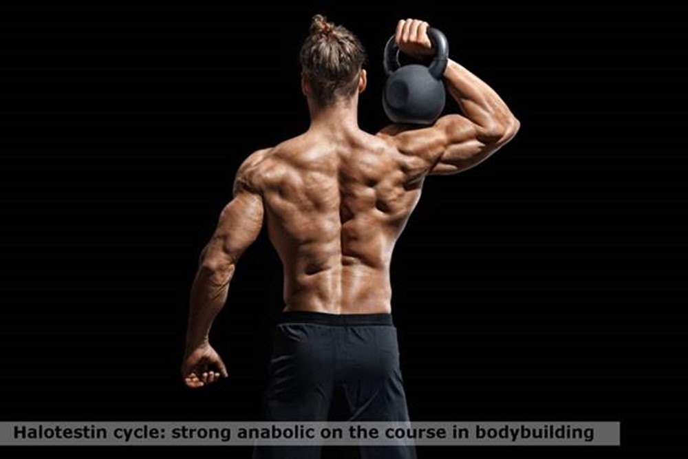 Halotestin cycle: strong anabolic on the course in bodybuilding