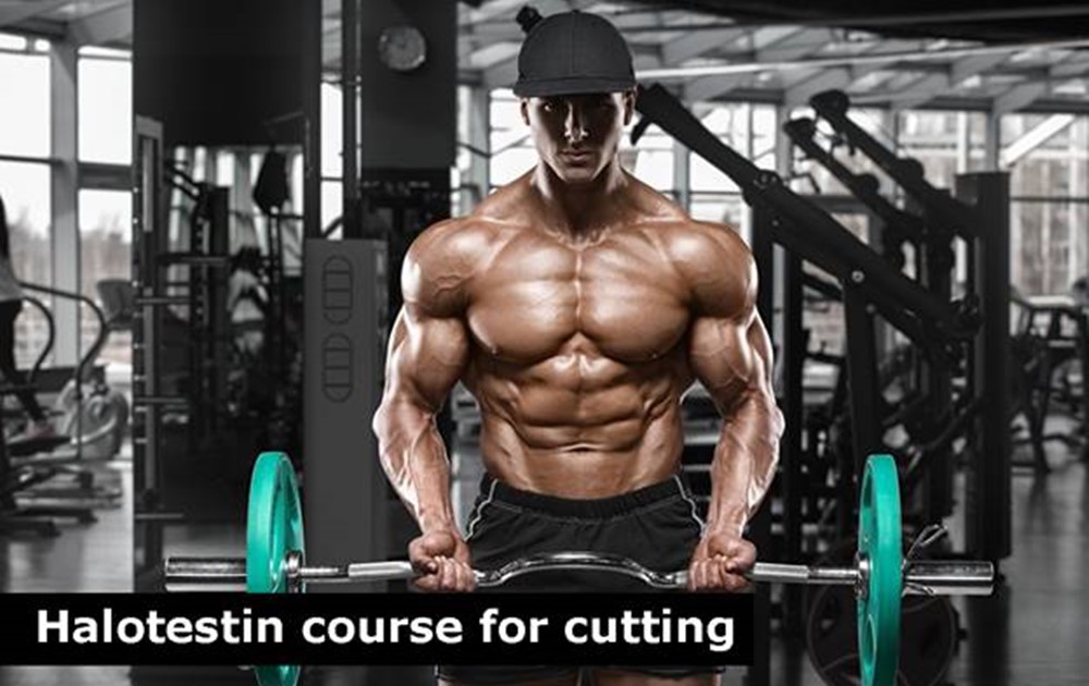 Halotestin course for cutting