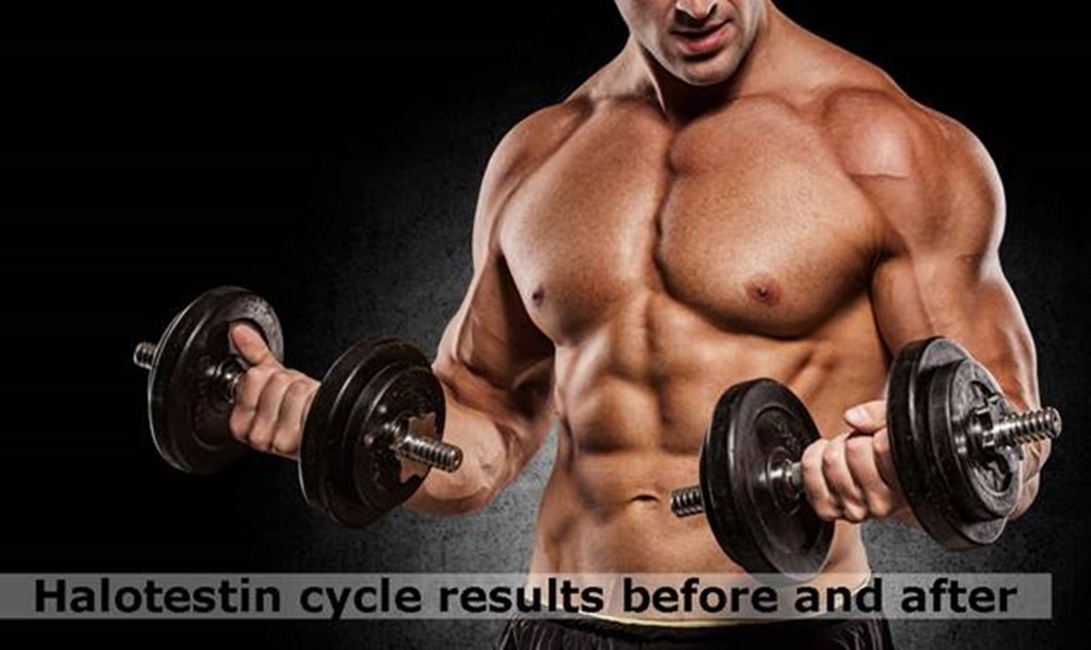 Halotestin cycle results before and after: personal experience highlights the benefits of cutting for muscle gains.