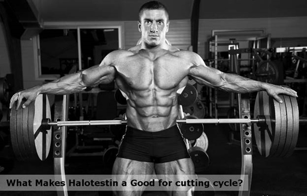 What Makes Halotestin a Good for cutting cycle?
