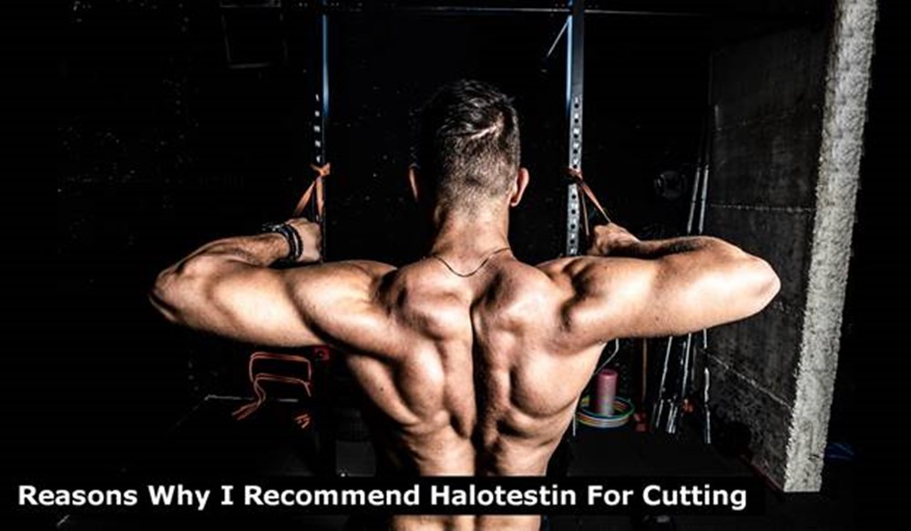 Reasons Why I Recommend Halotestin For Cutting