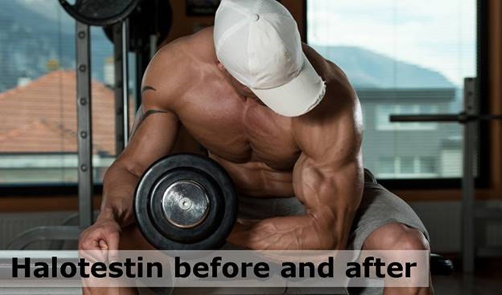 Halotestin before and after - What does Halotestin steroid do?