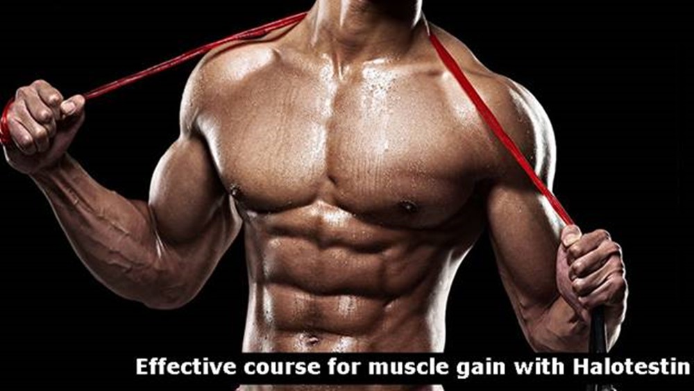 Effective course for muscle gain with Halotestin